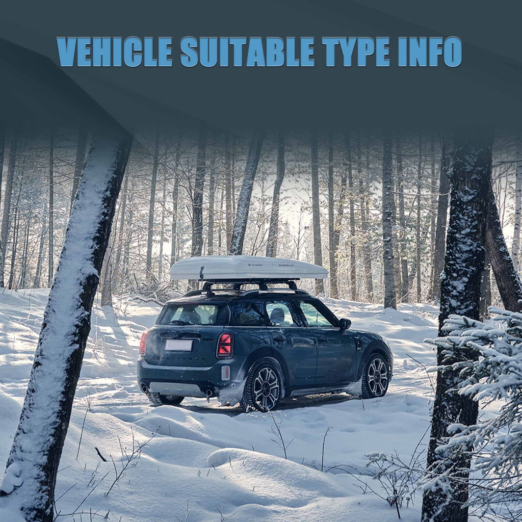 VLAND führte Rücklichter für 2017-2023 Mini Countryman F60 an