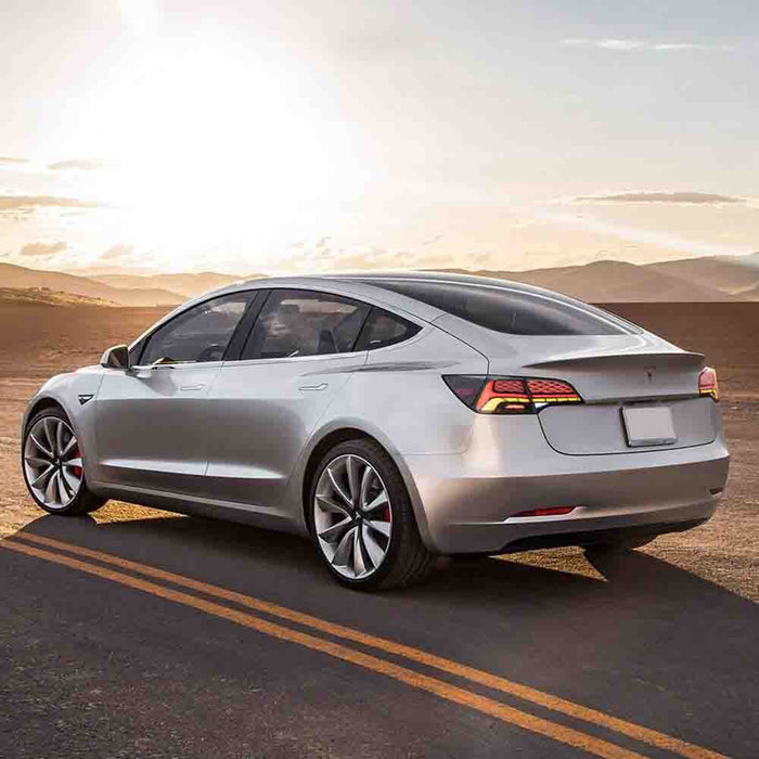 VLAND LED Taillights For 2017-2023 Tesla Model 3 Model Y